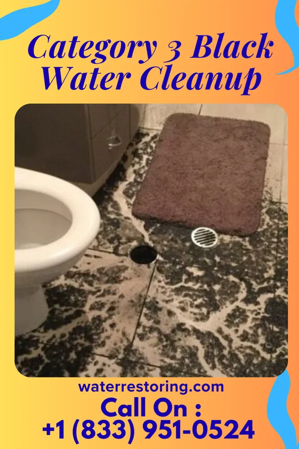 Category 3 Black Water Cleanup in McAlisterville, PA